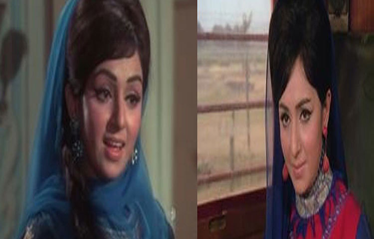 ক্রমশ পর্দা থেকে মিলিয়ে গেলেন ভিমি। তাকে দেখা যেত ফিল্ম পার্টি আর পত্রিকার ফটোশুটে। ১৯৭০-এ তিনি পত্রিকায় ধরা দিলেন বিকিনিতে। ‘সেক্স সিম্বল’-এর তকমা পেলেন। কিন্তু ছবিতে ডাক এল না। তার শেষ অভিনয় ‘বচন’ ছবিতে, শশী কাপুরের সঙ্গে। মুক্তি পেয়েছিল ১৯৭৪ সালে। এরপর পর্দা ও পর্দার বাইরে, দুই জায়গা থেকেই হারিয়ে গেলেন।