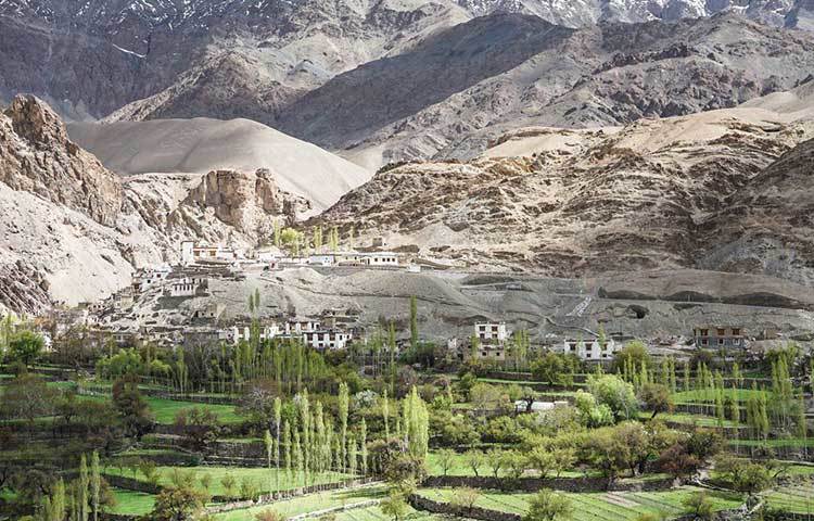 লে এবং কার্গিলের ধা, হানু, ভীমা, দারচিক আর গারকোন গ্রামে বাস ব্রোকপা বা দার্দ উপজাতির। তাদের দাবি, তারা আলেকজান্ডারের সেনাদের বংশধর।