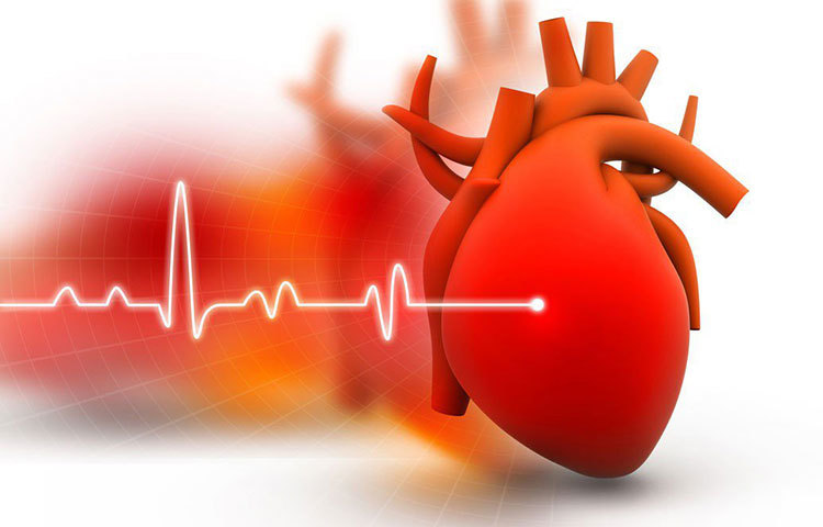 কেবল ভালবাসার প্রকাশ বোঝাতেই নয়, চুমুর মাহাত্ম্য নাকি লুকিয়ে রয়েছে আরও অনেক উপকারী দিকে। মনের বোঝা নামাতে, শারীরিক কষ্ট লাঘব করতে ও হার্টের দেখভাল করতে যে চুমুর একটা ভূমিকা রয়েছে, এ কথা অনেক আগেই বিজ্ঞান প্রমাণ দিয়েছে।