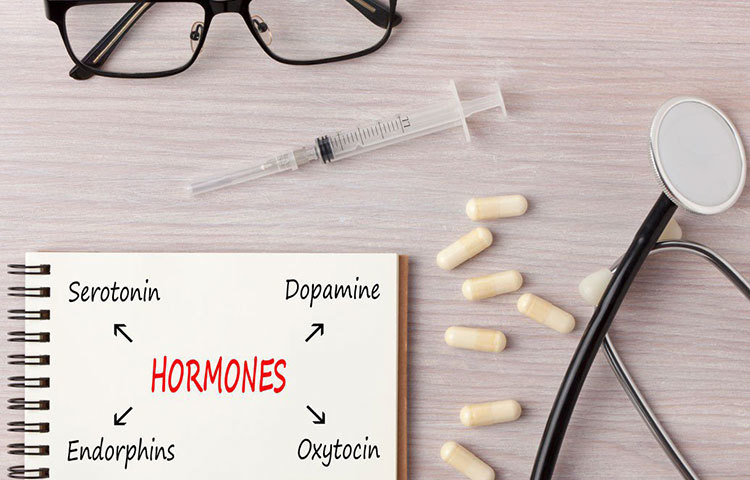 নিয়মিত চুমুতে ফিল গুড হরমোনদের ক্ষরণ নিয়মিত থাকে। ফলে, শরীর টোন্ড থাকে। অবাঞ্ছিত মেদ বা ক্যালোরি ঘাঁটি গাড়তে পারে না। বরং অনিয়মের যেটুকু মেদ, তাও গলে যায় সহজেই।