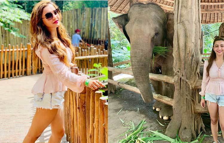 বনি সেনগুপ্ত ও কৌশানি মুখোপাধ্যায়ের সোশ্যাল মিডিয়া পোস্ট থেকে জানা যায় তারা ইন্দোনেশিয়ায় ছুটি কাটাতে গিয়েছেন।