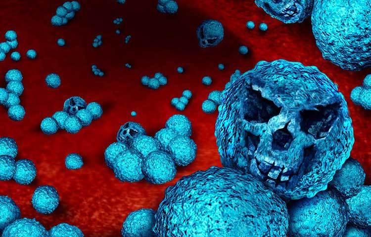 শরীরে অ্যান্টিবায়োটিক প্রতিরোধী শক্তি নিয়েই হানা দিচ্ছে যে সব ব্যাকটেরিয়া, ‘ইউরোপিয়ান সেন্টার ফর ডিজিজ প্রিভেনশন অ্যান্ড কন্ট্রোল’ (ইসিডিসি)-এর গবেষকরা তাদের নাম দিয়েছেন ‘সুপারবাগ’! ইউরোপ মহাদেশে সুপারবাগের প্রকোপে প্রতি বছর ৩৩ হাজার মানুষ মারা যাচ্ছে!