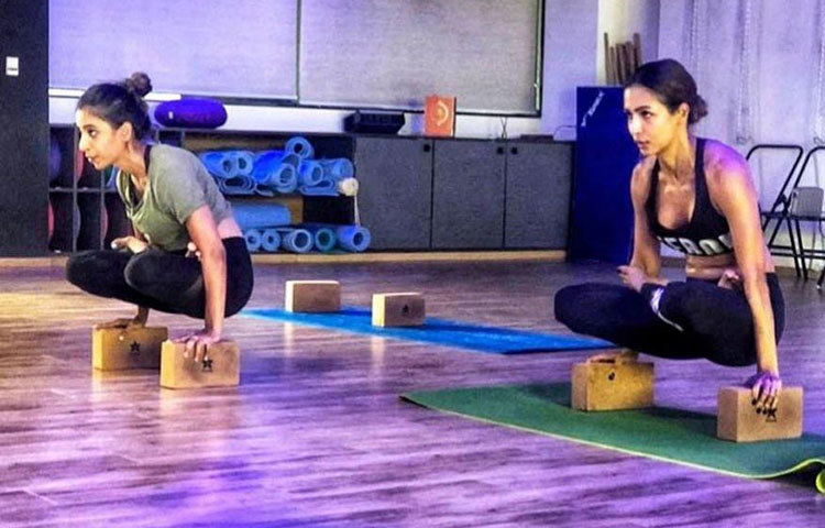 যোগাসনে মালাইকা।