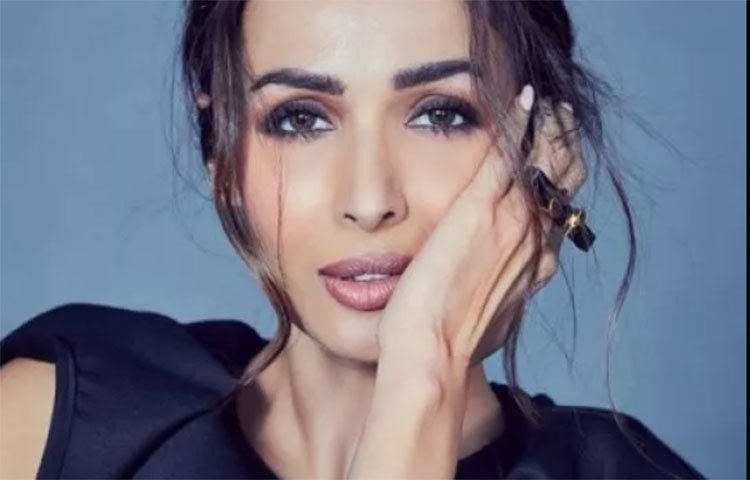 আর এবার মালাইকার ফটোশুটেও দেখা গেল সেই ভালোবাসার ছোঁয়া।