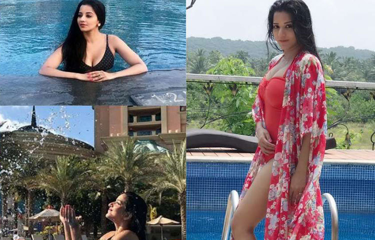 ভোজপুরী সিনেমায় অভিনয় ছাড়াও বিগ বসেও দেখা গিয়েছিল মোনালিসাকে। করেছেন বাংলা ওয়েবসিরিজ ‘দুপুর ঠাকুরপো’।