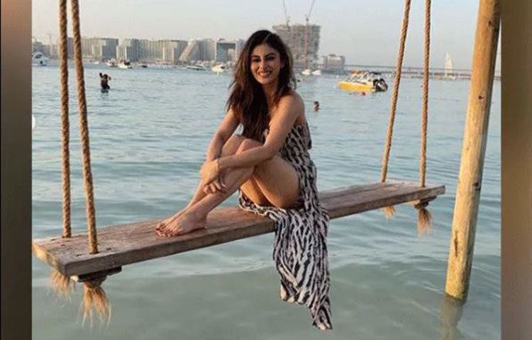 টেলিভিশনে অভিনয় দিয়ে তার শোবিজের যাত্রা শুরু হয়।