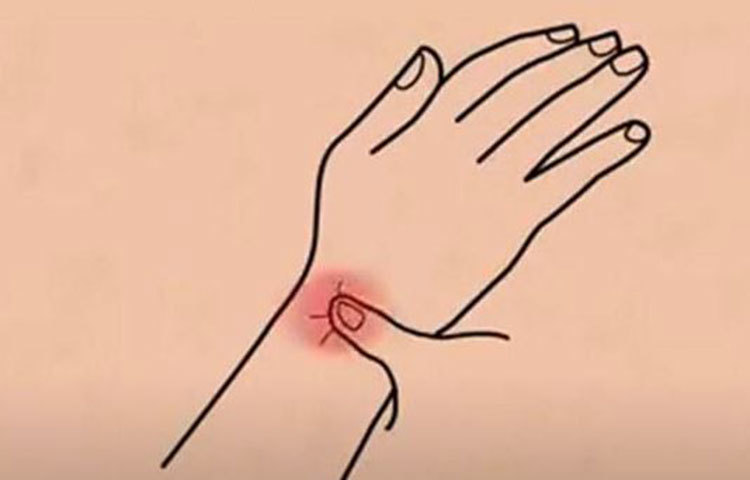 স্পার্ম কাউন্ট: শুক্রাণুর উত্পাদন বৃদ্ধিতেও ভূমিকা রয়েছে প্রেশার পয়েন্টের।