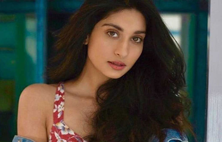 তবে পালোমা বলিউডে নামতে চলেছেন কি না এখনও তেমন কোনো খবর নেই, তবে জানা গিয়েছে তার ভাই আনমোল থাকেরিয়া বলিউড ডেবিউয়ের জন্য প্রস্তুতি নিচ্ছেন।