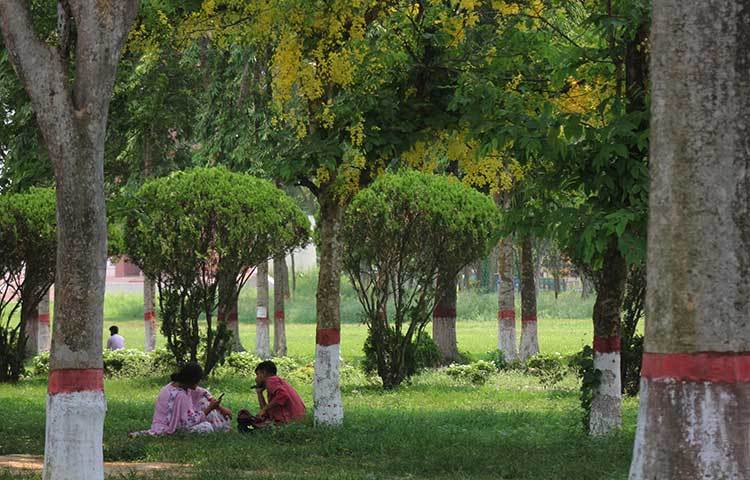 ডায়না চত্বরে সবুজের নরম চাদরে বসে খুনসুটি আর আড্ডায় মত্ত প্রেমিক যুগল। ছবি: ফেরদাউসুর রহমান সোহাগ