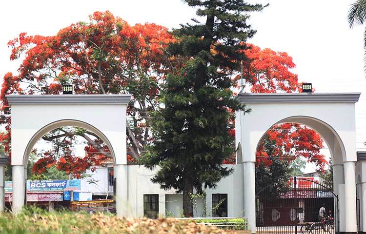 ক্যাম্পাস অভ্যন্তর থেকে প্রধান ফটকের মোহনীয় দৃশ্য। ছবি: ফেরদাউসুর রহমান সোহাগ