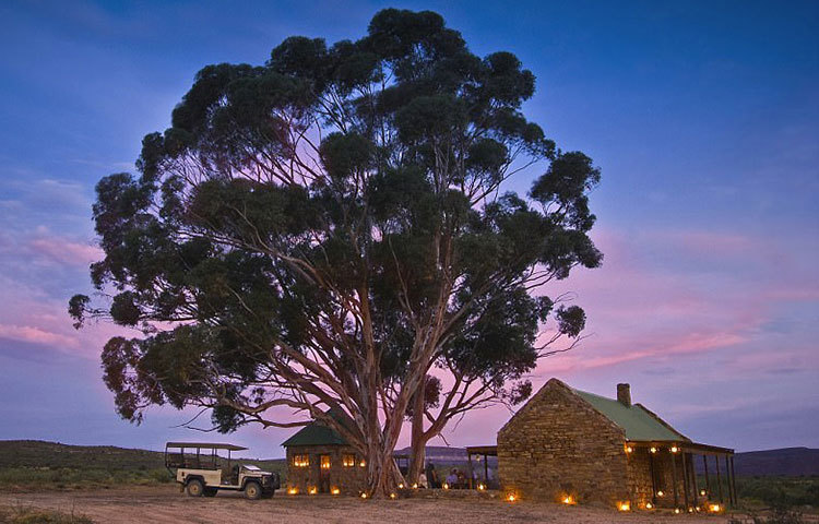 বুশম্যান ক্লুফ-নামের এই চোখজুড়ানো ও বিলাসবহুল রিসোর্টটি রয়েছে দক্ষিণ আফ্রিকায়।
