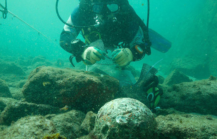আটলান্টিসের জলের তলায় তলিয়ে যাওয়ার ঘটনাটি নিশ্চয়ই জানেন। প্রাচীন যুগের বহু শহরেরই অস্তিত্ব মুছে গিয়েছিল ভূমিকম্প বা বন্যার মতো প্রাকৃতিক দুর্যোগে। আটলান্টিস নিয়ে যখন চাঞ্চল্য বা কৌতূহল কার্যত চাপা পড়ে গিয়েছিল, তখনই আবার খোঁজ মিলল ভূমধ্যসাগরের তলায় চাপা পড়ে থাকা নতুন শহরের।