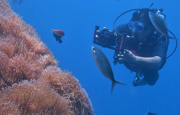 ২০১২ সাল থেকে দিনের পর দিন সাগরের তলদেশে প্রাণ-বৈচিত্রের ছবি তুলে যাচ্ছেন আন্ডারওয়াটার ফটোগ্রাফার শরীফ সারওয়ার।