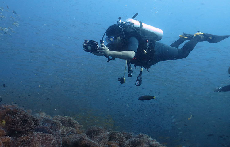 তবে সাগরতলের প্রাণী ভয়ঙ্কর হলেও আচরণ সম্পর্কে জানা থাকলে খুবই বন্ধুসুলভ হয়। সহজে ক্ষতি করে না। হাঙ্গর, অক্টোপাস ও হোয়েলশার্ককে আমরা ভয়ঙ্কর মনে করলেও মোটেও ভয়ঙ্কর নয়। বরং জলের তলে তারা খুবই বন্ধুসুলভ।