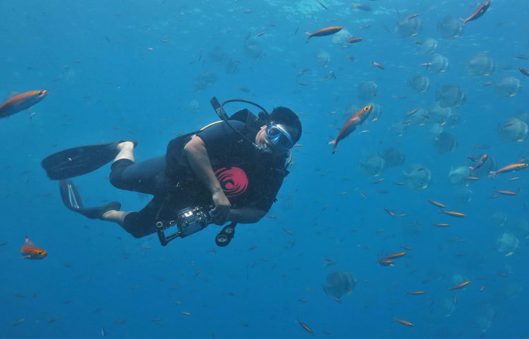 ১৯৯৭ সাল থেকে জাতীয় দৈনিকে ফটোসাংবাদিক হিসেবে কাজ শুরু করেন। দৈনিক প্রভাত, ডেইলি নিউজ টুডে, প্রথম আলোসহ সর্বশেষ ২০০৯ সাল পর্যন্ত যায়যায়দিনের প্রধান ফটোসাংবাদিক হিসেবে কর্মরত ছিলেন।