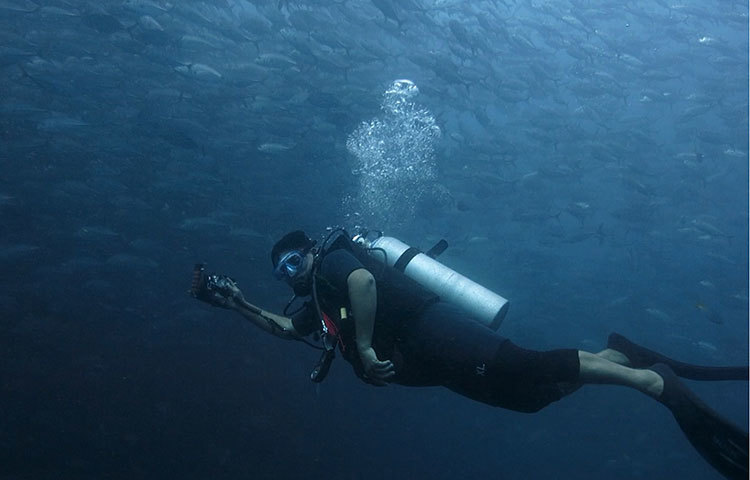 ২০১২ সালে ওসানিক স্কুবা ডাইভিং সেন্টারে (সেন্টমার্টিন) ট্রেনিং শুরু করেন। ২০১২ সালে পিএডিআই ওপেন ওয়াটার (আন্দামান, থাইল্যান্ড) এবং ২০১৪ সালে পিএডিআই অ্যাডভান্স ওপেন ওয়াটারে (গলফ অব থাইল্যান্ড) কোর্স করে আন্তর্জাতিক লাইসেন্স পান।