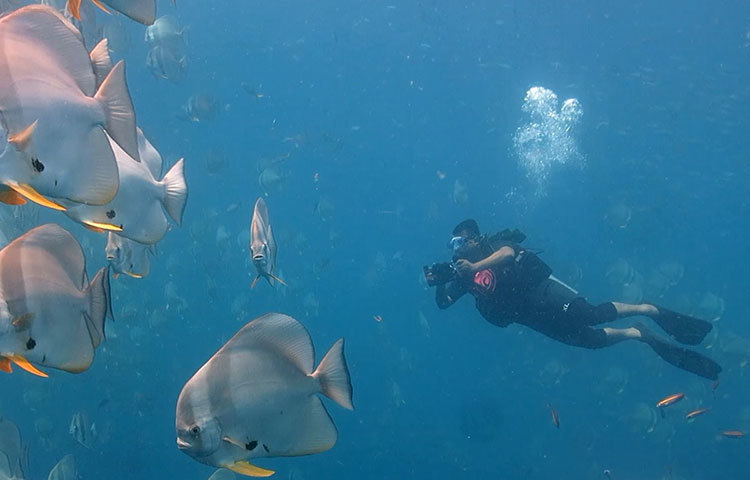 ২০১২ সালে বঙ্গোপসাগরে আন্ডারওয়াটার ফটোগ্রাফি ও ভিডিওগ্রাফি শুরু করলেও ভারতের আন্দামান সাগর, গলফ অব থাইল্যান্ড সাগরের নিচে গেছেন। থাইল্যান্ডে সর্বোচ্চ ৪০ মিটার নিচে গিয়ে বাংলাদেশের পতাকা তুলে ধরেছেন।