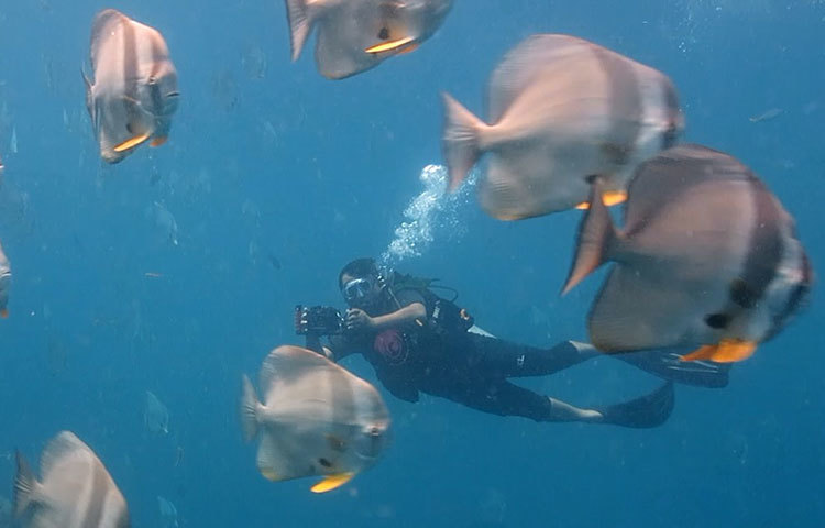 পৃথিবীর অন্যতম গভীরতম খাদ হিসেবে পরিচিত বঙ্গোপসাগরের সোয়াস অব নো গ্রাউন্ডের তিমি, হাঙ্গরসহ সামুদ্রিক নানা প্রাণীর আস্তানায় ২০১৭ সালে স্কুবা ডাইভিংয়ে নেমেছিলেন। সাহসের সঙ্গে ছবি তোলার কাজটিও করে এসেছেন তিনি।