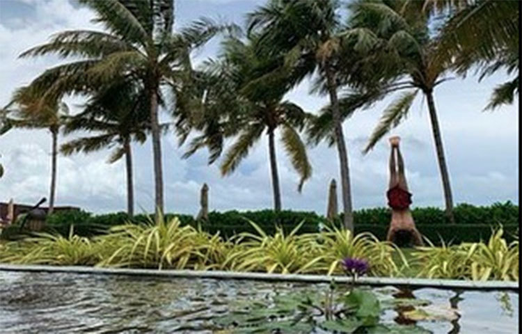 সপরিবারে বেশ আনন্দ করেই ছুটি কাটিয়েছেন শাহরুখ। শীর্ষাসন করার একটি ছবিও শেয়ার করেছেন বাদশা।