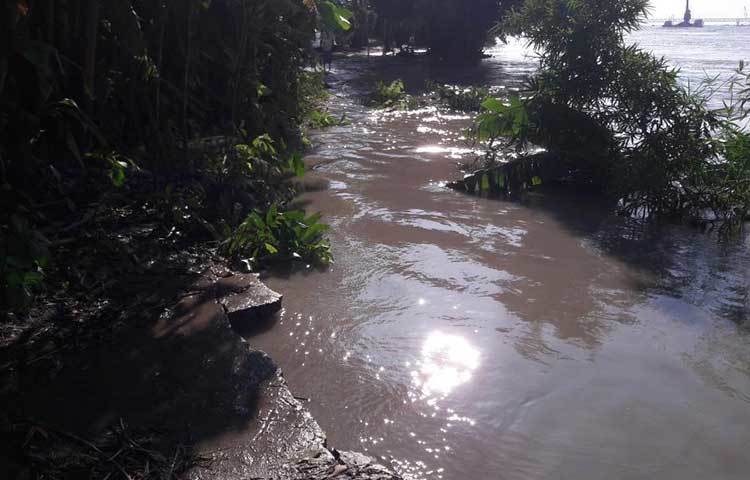 পূর্ব নাওডোবা ইউপি সদস্য মঙ্গল মাদবর জানান, কয়েক দিন ধরে নদীতে স্রোত বইছে সাথে পানিও বেড়েছে। পানি বাড়ার সাথে সাথে প্রবল স্রোতে নদীর পাড় ভাঙতে শুরু করে। মো. ছগির হোসেন