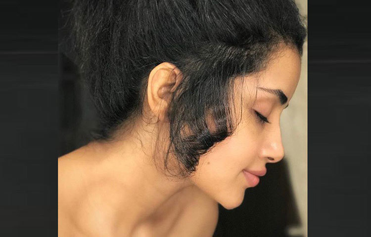 কেরলেই বড় হয়েছেন অনুপমা। কোট্টায়মের সিএমএস কলেজ থেকে ইংরেজি নিয়ে পড়াশোনা করেছেন তিনি।