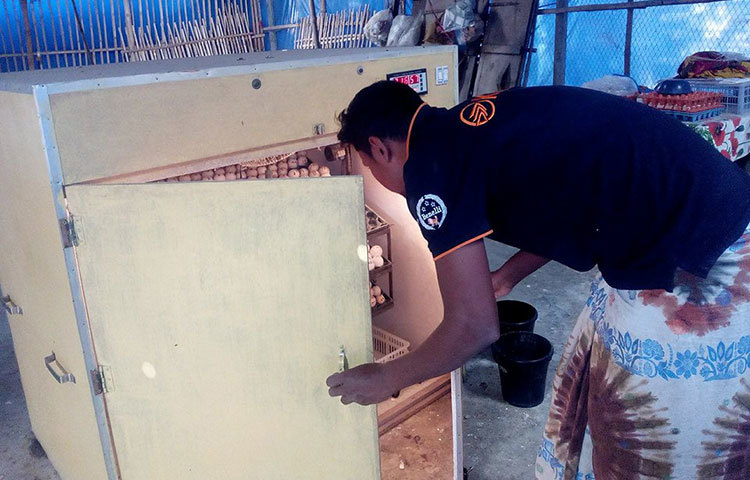 কালো রঙের ওই জাতের মুরগি কাদাকনাথের খামার এখন রাজশাহীর বাগমারায়। উপজেলার গোয়ালকান্দি ইউনিয়নের গোয়ালকান্দি গ্রামের গৃহবধূ শিরিনা নিজ বাড়িতে ওই মুরগির খামার গড়ে তুলেছেন। এ কাজে তাকে সহযোগিতা করছেন স্বামী ও দুই ছেলে।