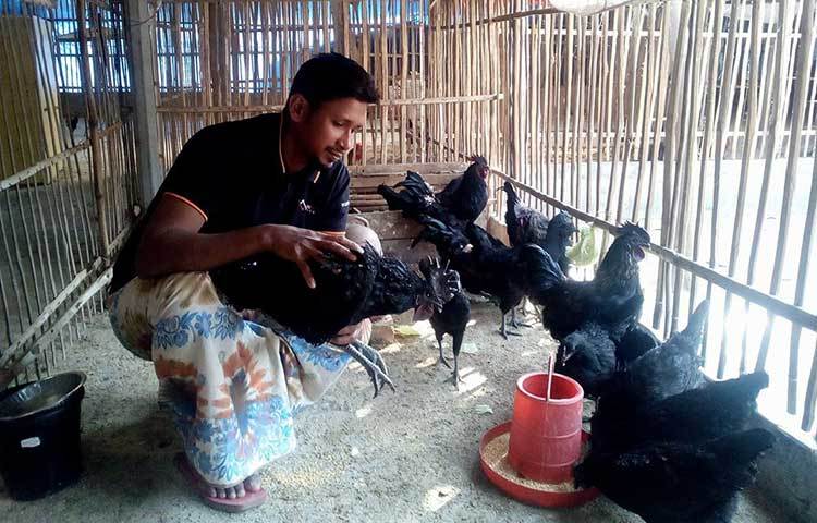 ভারতের মধ্য প্রদেশে কাদাকনাথ ‘কালোমাসি’ বা ‘কড়কনাথ’ নামে পরিচিত। এ মুরগির হাড়, মাংস, জিব, নখ পর্যন্ত কুচকুচে কালো। খাদ্য তালিকায় এর মাংস সুস্বাদু, ওষুধি গুণসম্পন্ন ও দামি। এর ডিম ও বাচ্চা বিক্রি করেও বেশি লাভবান হওয়া যায়।