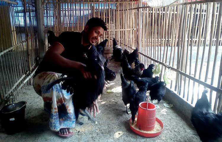 শিরিনা আরও জানান, গত ২ মাস যাবৎ তিনি বাচ্চা বিক্রি আরম্ভ করেছেন। ১ মাস বয়সি বাচ্চার দাম ৭-৮শ’ টাকা, দেড় মাস বাচ্চার দাম ১ হাজার টাকা, ২ মাসের বাচ্চার দাম ১২০০-১৫০০ টাকা। এ জাতের মুরগির খাবার খরচ খুবই কম। এর পুষ্টি উপাদান ও রোগ প্রতিরোধ ক্ষমতা অন্য সব মুরগির চেয়ে বহুগুণে বেশি।