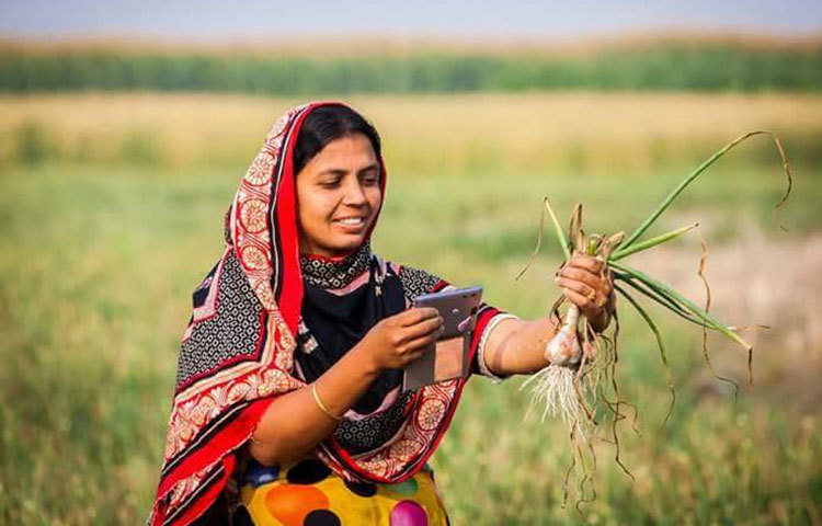 কম খরচে বাড়ির পাশের পতিত জমিতে সবজি চাষ করে লাভবান হয়েছেন। তবে সরকারি পৃষ্ঠপোষকতা পেলে তারা অর্থনীতিতে বিশেষ ভূমিকা রাখতে পারবেন।