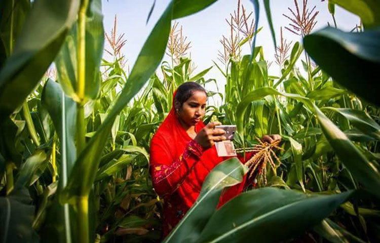 জানা যায়, ২০১০ সালে অক্সফামের অর্থায়নে হতদরিদ্র নারীদের সাবলম্বী করার জন্য পল্লীশ্রী রি-কল প্রকল্পের কাজ শুরু হয়। এর আওতায় ২০১৫ সালের ডিসেম্বর মাসে ১শ’ উদ্যমী নারীকে স্মার্টফোন দেওয়া হয়।