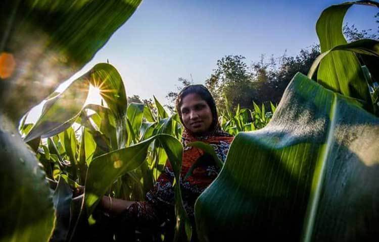 প্রকল্পটি স্মার্টফোনের ওপর প্রশিক্ষণ, ফেসবুক আইডি খুলে দেওয়া, মেগাবাইট সরবরাহ, উপজেলা কৃষি অফিস, ইউনিয়ন ডিজিটাল সেন্টার ও প্রতীক কল সেন্টারের এসএমএস ও প্রতীক ভয়েজ এসএমএসের মাধ্যমে যোগাযোগের ব্যবস্থা করে।