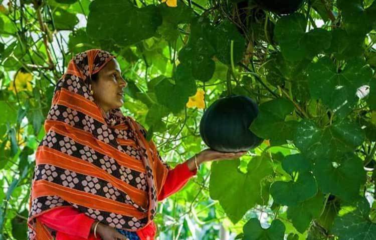 এছাড়া কৃষিতথ্য সংগ্রহ করে সবজি ও ফসল চাষ করার বিষয়ে পরামর্শ দিয়ে থাকে। ফলে তিস্তাপাড়ের চরে পতিত জমিতে ফসল ও সবজি চাষ করে সফল হচ্ছেন তারা।