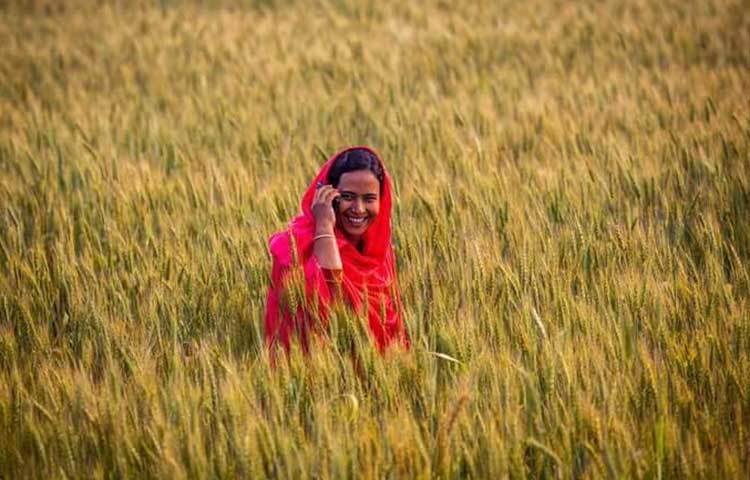 সূত্র জানায়, স্মার্টফোনের তথ্য পাওয়ার জন্য কমিউনিটি ভিত্তিক কৃষি সার্ভিস সেন্টার গড়ে তোলা হয়েছে। এলাকার প্রশিক্ষণপ্রাপ্ত নারীরা টাওয়ার বা থ্রিডি পদ্ধতি ব্যবহার করে বস্তার মধ্যে মাটি ও জৈব সার মিশিয়ে সবজি চাষ করে আসছেন। যাতে বন্যায় কোন ক্ষয়-ক্ষতি না হয়।