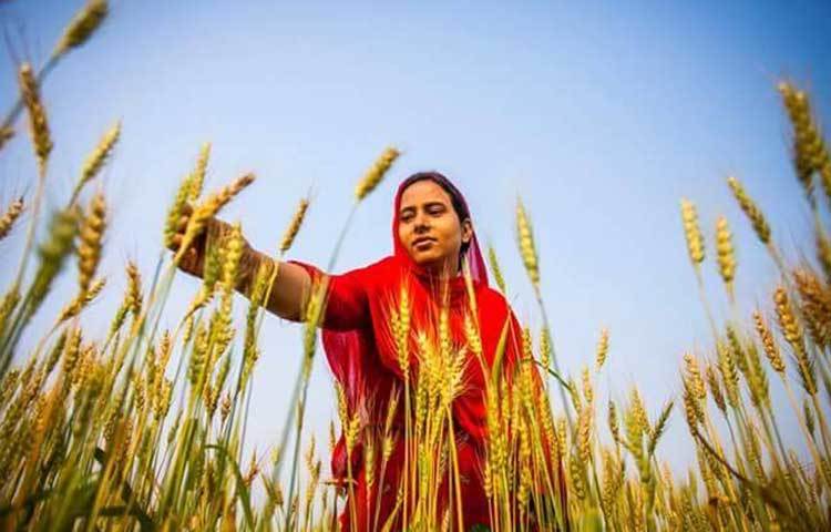 প্রতীক প্রকল্পের উদ্যোক্তা শারীরিক প্রতিবন্ধী মুন্নি আখতার বলেন, ‘আমরা বিভিন্ন মিটিংয়ে অংশগ্রহণ করি। সেখান থেকে তথ্য বা কৃষি বিভাগের অ্যাপস ব্যবহার করে বিভিন্ন পরামর্শ পাচ্ছি। এতে পরিবারের কৃষি ক্ষেত্রে অবদান রাখতে পারছি। সর্বোপরি আমার বাবাকে পরামর্শ দিয়ে সহযোগিতা করে আসছি।’