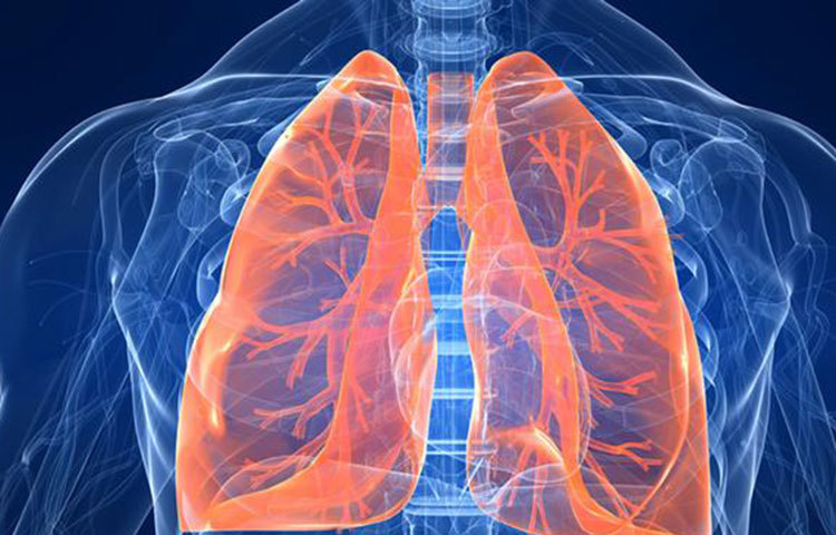 ধূমপান বন্ধের কয়েক মাস পর: ধূমপান বাদ দেয়ার কয়েকমাস পরেই দেখা যায় শরীরে রক্ত চলাচল অনেক ভালোভাবে হচ্ছে। আর আগের তুলনায় ফুসফুস শতকরা ৩০ ভাগ বেশি অক্সিজেন গ্রহণ করতে পারে এবং কাশিভাবও কমতে শুরু করে।