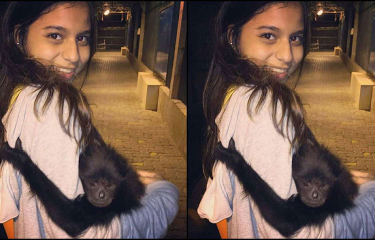 তবে, বাবা বলিউডের বাদশা হওয়া কারণে সিনেমায় প্রবেশ না করেই ইতিমধ্যে সুহানা বেশ জনপ্রিয়। তার নতুন লুকস, স্টাইল স্টেটমেন্টের মজে থাকেন তার ভক্তরা।