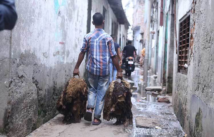 রাস্তার দুই পাশে কাঁচা চামড়ার আড়ত। সেখানে দুর্গন্ধ এতটাই উৎকট যে, দম নেয়া কষ্টকর। ছবি: মাহবুব আলম