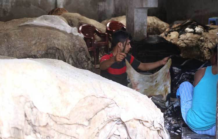 চামড়া বাছাইয়ে ব্যস্ত আড়তের কর্মচারীরা। ছবি: মাহবুব আলম