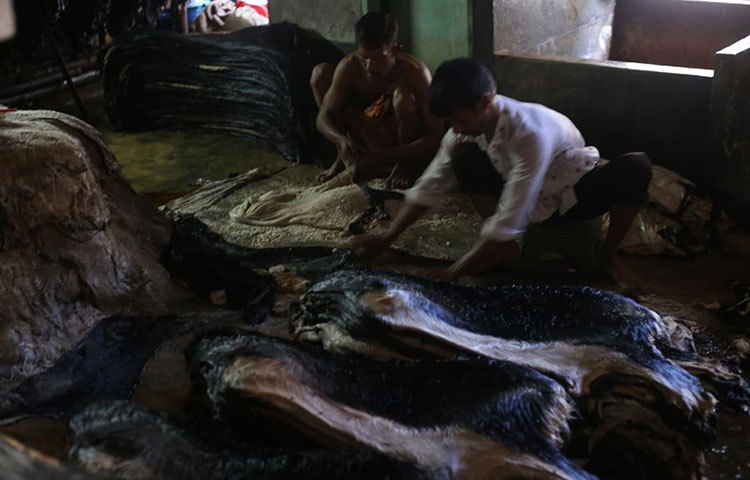 চামড়ার গন্ধে বমি এলেও এখানকার কর্মচারীরা বেমালুম কাজ করে যাচ্ছেন। ছবি: মাহবুব আলম