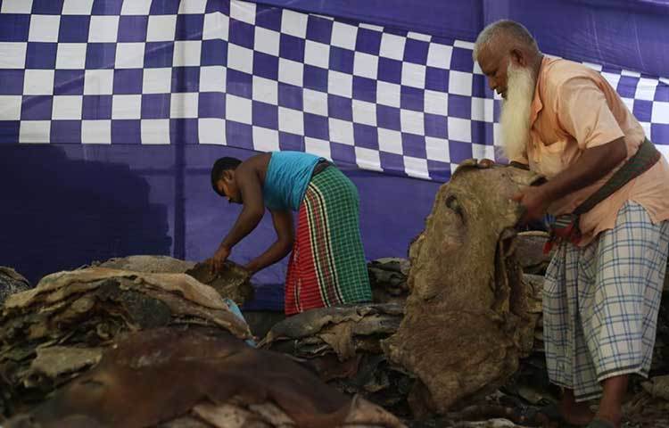 চামড়া বাছাই কাজে ব্যস্ত কর্মচারীরা। ছবি: মাহবুব আলম