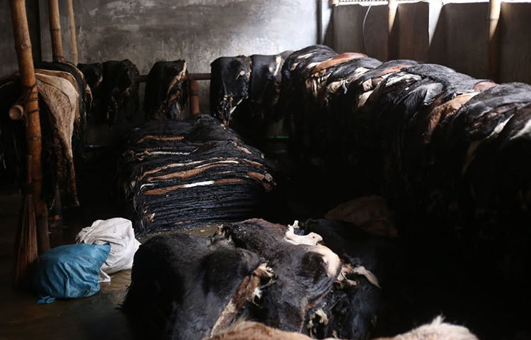 চামড়ার স্তূপ। ছবি: মাহবুব আলম