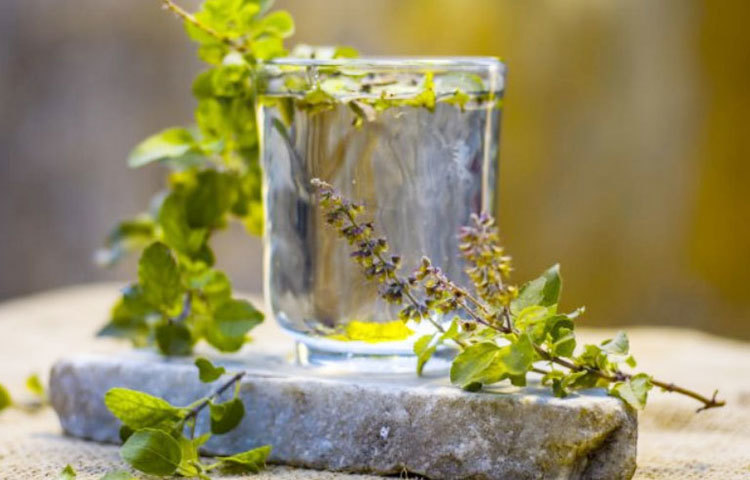 সামান্য গরম জলেতে তুলসি পাতা দিয়ে সেদ্ধ করে নিয়ে, সেই জল দিয়ে কুলকুচি করলে বা জল খেতে পারলে গলার ব্যাথা দ্রুত সেরে যাবে।