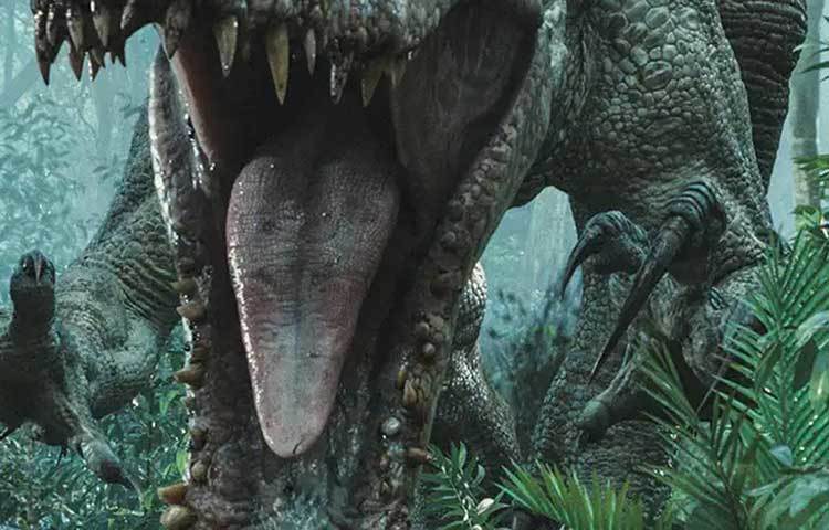 তবে এই পাখিটির সঙ্গে ডাইনোসরের ভূতাত্তি¡ক বিবর্তনের সম্পর্ক নিয়ে গবেষণা চালাচ্ছেন বিজ্ঞানীরা। (প্রতীকী ছবি)