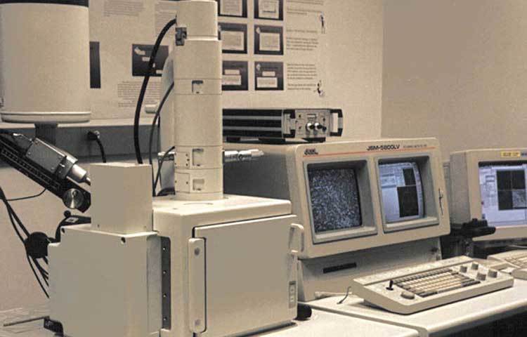 স্ক্যানিং ইলেক্ট্রন মাইক্রোস্কোপি বলছে, ডিমের আবরণের সবচেয়ে বাইরের স্তর কিউটিকলে ছিল আকরিকও, বলেন গবেষক ও. কোনর।