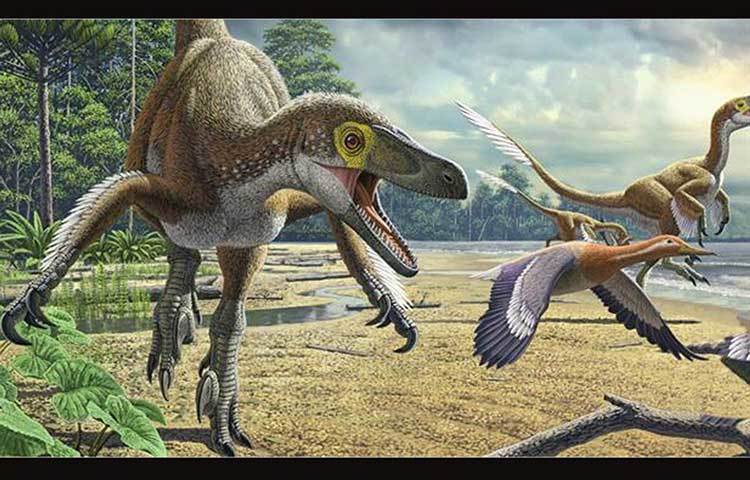 এই প্রাচীন পাখির প্রজাতির নাম আভিমায়া স্কিউইৎজেরে। এটি সম্পূর্ণ নতুন প্রজাতি। এটি এনানশিঅরনিথিস গোষ্ঠীর পাখি। ডাইনোসরের সঙ্গে পৃথিবীতে বাস করত এরাও, বলেছেন বিজ্ঞানীরা। (প্রতীকী ছবি)