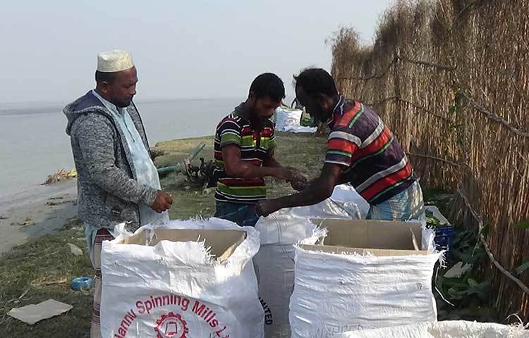 ক্যাপসিকাম বাজারজাত করার জন্য বস্তাবন্দি করছেন চাষিরা। ছবি: জুয়েল সাহা বিকাশ