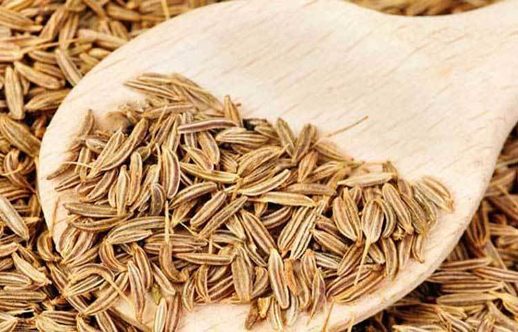 জিরা: জিরা বীজ আপনার পাকস্থলীর সব ধরনের সমস্যার জন্য সেরা ওষুধগুলোর একটি হিসেবে কাজ করে। জিরা আয়রন এবং খাদ্যগত আঁশের অসাধারণ একটি উৎস। এটি পাকস্থলিতে হজমে সহায়ক পাচকরসমূহের উৎপাদন বাড়ায় এবং স্নায়ুতন্ত্রকে প্রশমিত করে। রাতে একগ্লাস পানিতে পরিমাণমতো জিরা ভিজিয়ে রেখে সকালে তা পান করুন। এতে আপনার হজমক্ষমতা বাড়ার পাশাপাশি দিনব্যাপী পরিপাকতন্ত্রও ভালো থাকবে।