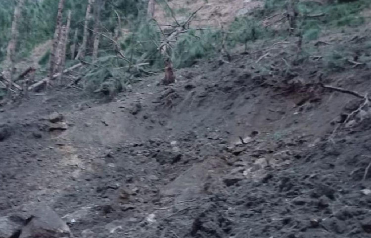 হামলার পরেই সীমান্তে জারি হয় হাই অ্যালার্ট।