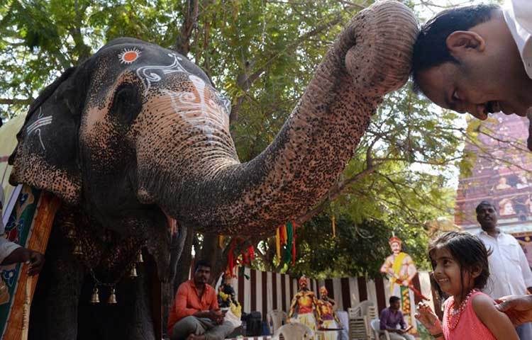 চেন্নাইয়ের একটি মেলায়।