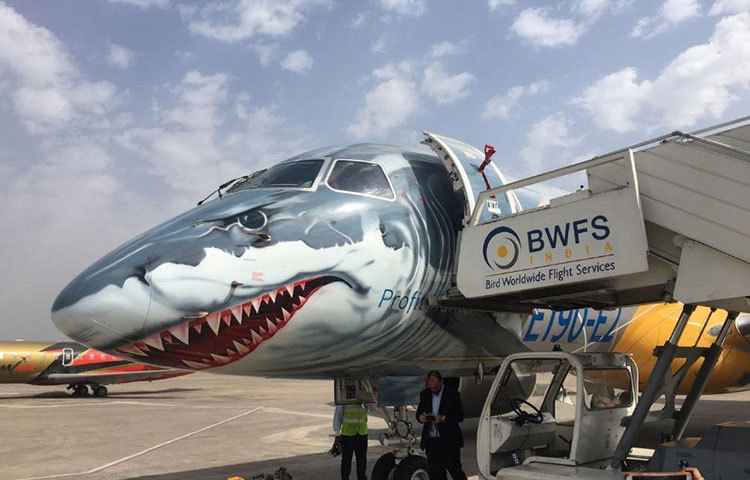 এই বিমানটির ডাকনাম হল ‘প্রফিট হান্টার’।